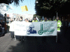cagliariPICT0018.gif (184828 byte)