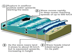 Genesi di uno tsunami