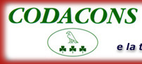 Codacons on line: il sito dei consumatori